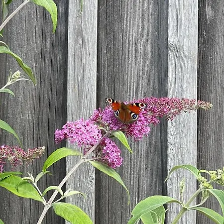 Апартаменты Landligt Ophold Pa Midtgard