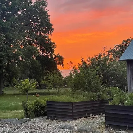 Daire Landligt Ophold Pa Midtgard Vamdrup