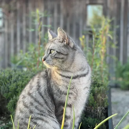 Landligt Ophold Pa Midtgard * Vamdrup