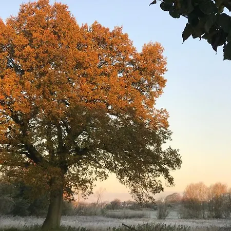 Landligt Ophold Pa Midtgard * Vamdrup